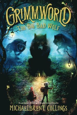 bokomslag The Big Bad Wolf