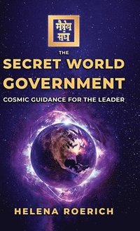 bokomslag The Secret World Government