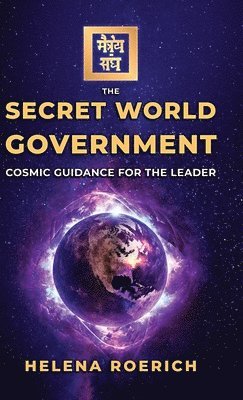 bokomslag Divine Government