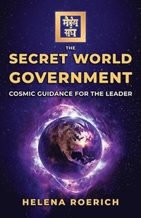 bokomslag Divine Government