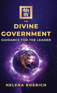 bokomslag Divine Government