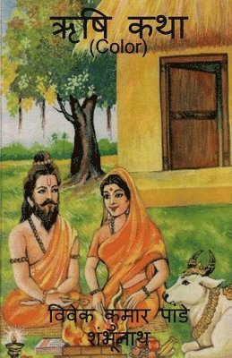 Vivek Pandey, Pandey,Vivek - Saint Story Color / ऋषि कथा (Color), Häftad