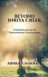 bokomslag Beyond Inriya Creek