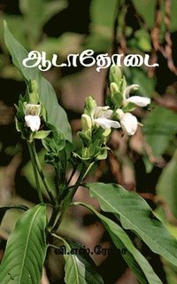 bokomslag Aadathodai