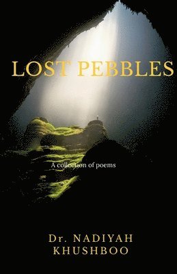 Lost Pebbles 1