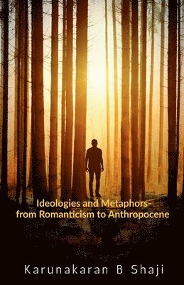 bokomslag Ideologies and Metaphors