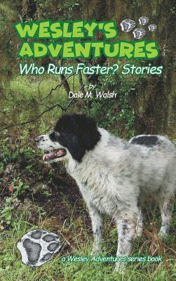 Wesley's Adventures