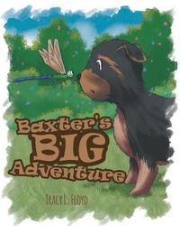 bokomslag Baxter's Big Adventure