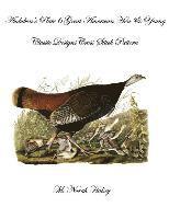 bokomslag Audubon's Plate 6 Great American Hen & Young: Classic Designs Cross Stitch Pattern