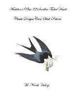 bokomslag Audubon's Plate 72 Swallow Tailed Hawk: Class Designs Cross Stitch Pattern