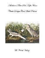M. Norah Halsey - Audubon's Plate 236 Night Heron: Classic Designs Cross Stitch Pattern, Häftad