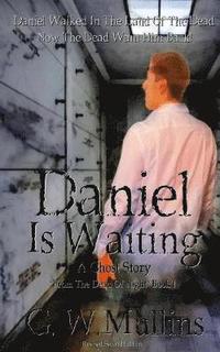 bokomslag Daniel Is Waiting A Ghost Story