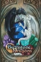 bokomslag Birthstone Dragons