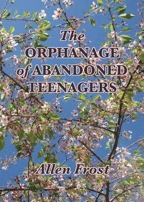 Allen Frost - Orphanage of Abandoned Teenagers, Häftad