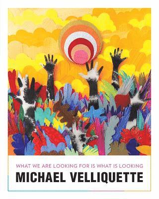 Michael Velliquette - Michael Velliquette: What We Are Looking For is What is Looking, Häftad