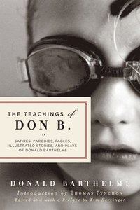 bokomslag The Teachings of Don B.