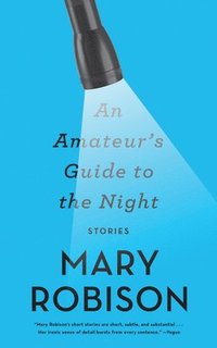 bokomslag An Amateur's Guide to the Night: Stories