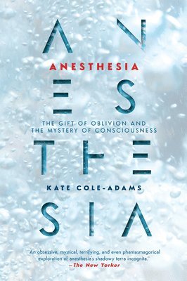 bokomslag Anesthesia: The Gift of Oblivion and the Mystery of Consciousness