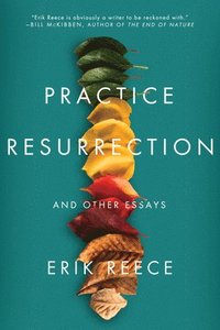 bokomslag Practice Resurrection: And Other Essays
