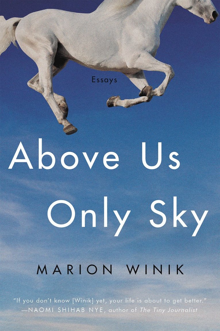 Marion Winik - Above Us Only Sky, Häftad