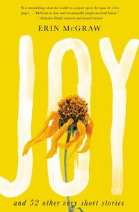 bokomslag Joy