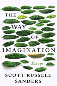 bokomslag The Way of Imagination