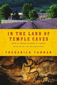 bokomslag In the Land of Temple Caves: Notes on Art and the Human Spirit