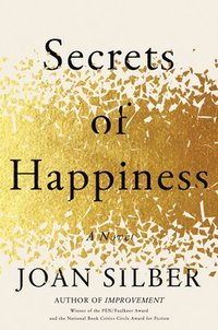 bokomslag Secrets Of Happiness
