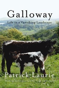 bokomslag Galloway