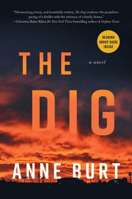 The Dig 1