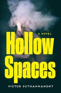 bokomslag Hollow Spaces