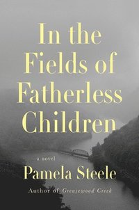 bokomslag In the Fields of Fatherless Children