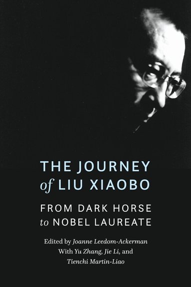 Democratic China, Joanne Leedom-Ackerman, Yu Zhang, Jie Li, Tienchi Martin-Liao - Journey of Liu Xiaobo, Inbunden