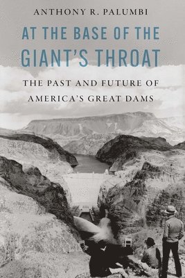 At the Base of the Giant's Throat