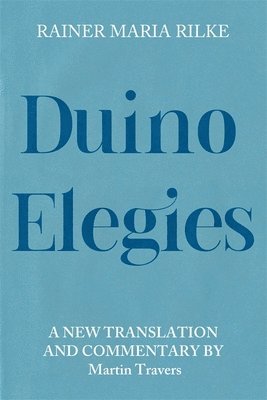 bokomslag Duino Elegies