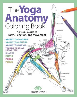 Yoga Anatomy Coloring Book 1