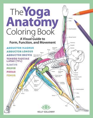 The Yoga Anatomy Coloring Book 1