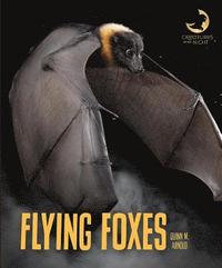 bokomslag Flying Foxes