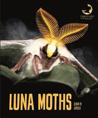 bokomslag Luna Moths