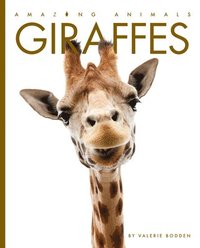 bokomslag Giraffes