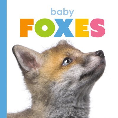 Kate Riggs - Baby Foxes, Inbunden