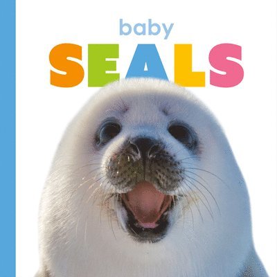 Kate Riggs - Baby Seals, Inbunden