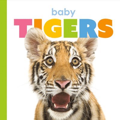 Kate Riggs - Baby Tigers, Inbunden
