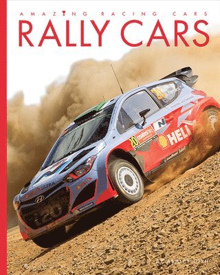 Rally Cars 1