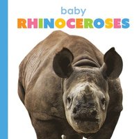 bokomslag Baby Rhinoceroses