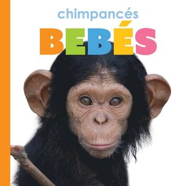 bokomslag Chimpancés Bebés