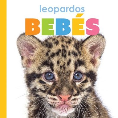 bokomslag Leopardos Bebés