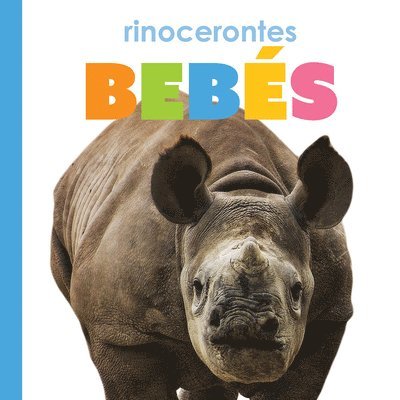 Rinocerontes Bebés 1