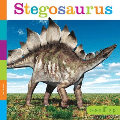 Stegosaurus 1
