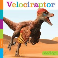 bokomslag Velociraptor